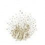 Logo Les Jardins du Faubourg