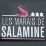 Logo Les Marais de Salamine