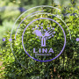 Logo Lina