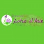 Logo Lotus d'Asie