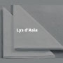 Lys d'Asia Paris 16