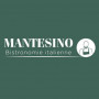 Logo Mantesino