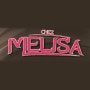 Logo Melisa kebab