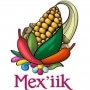 Logo Mex’iik