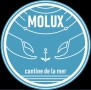 Molux Vannes