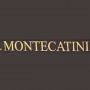 Logo Montecatini
