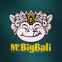Logo Mr.BigBali