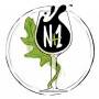 Logo N+1