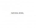 Natural Bowl Besancon
