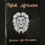 Ndok Africains Tours