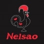 Logo Nelsao