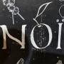 Logo Noï