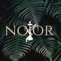 Logo Noor