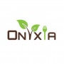Logo Onyxia