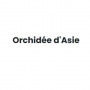 Logo Orchidée d'Asie