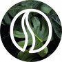 Logo Origin