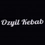 Ozyil kebab Auxerre