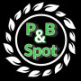 Logo p&b spot