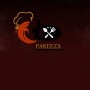 Logo Pakeeza
