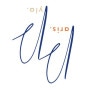 Logo Paris Pyla