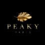 Logo Peaky Paris