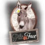 Logo Pile ou face