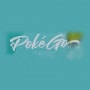 Poké Go Paris 19