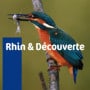 Rhin et Decouverte Rosenau
