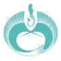 Logo Sail Fish