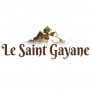 Saint-Gayané Foix