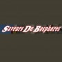 Logo Saveurs Du Bosphore