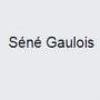 Séné Gaulois Vertolaye