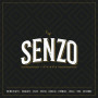 Logo Senzo