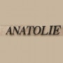 Logo Snack Anatolie