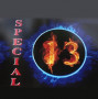 Logo Spécial 13