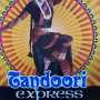 Logo Tandoori Express