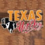 Logo Texas Hot Dog
