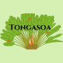 Logo Tongasoa
