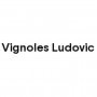 Logo Vignoles _ Ludovic