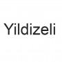 Logo Yildizeli