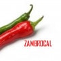 Logo Zambrocal