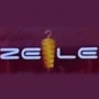 Logo Zélé