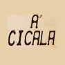 A Cicala