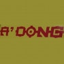 A Dong