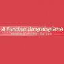 A Furcina Burghisgiana