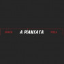 A piantata
