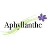 Aphyllanthe