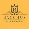 Bacchus Club et Rooftop