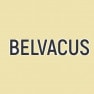 Belvacus