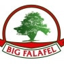 Big Falafel